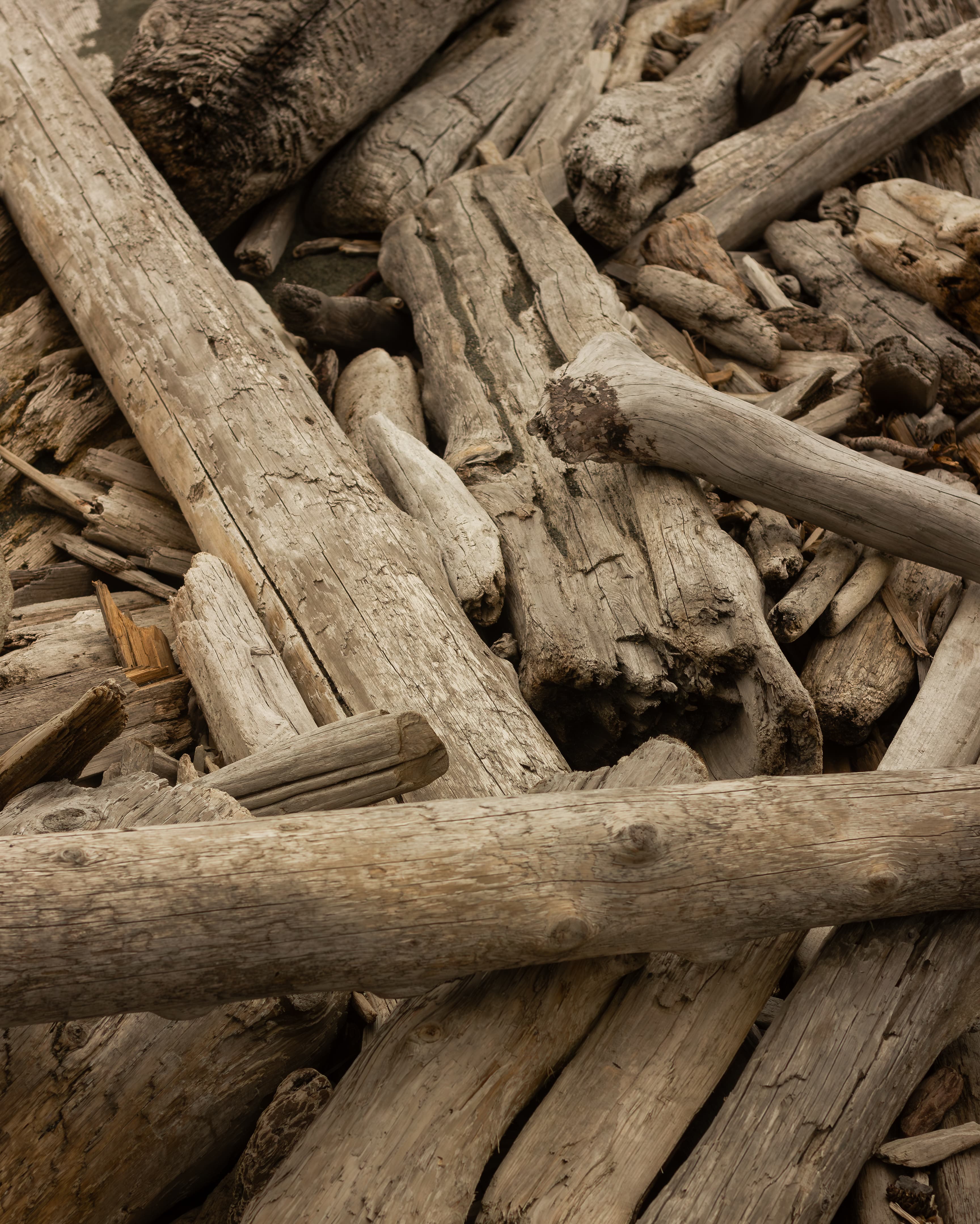 Raw cedar boards ready for milling